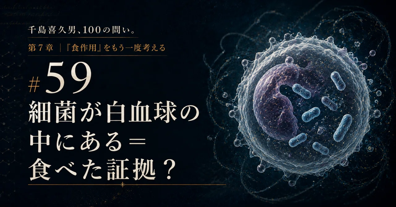 #59 Bacteria inside white blood cells = proof they were eaten?｜薬剤師 箕浦雅子 ...