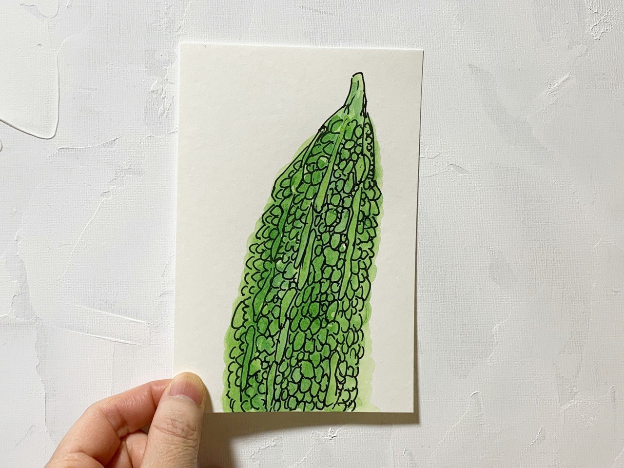 ゴーヤの描き方 どこに注目したらいい Chokottto美術部 Note ゴーヤの描き方 どこに注目したらいい Chokottto美術部 Note