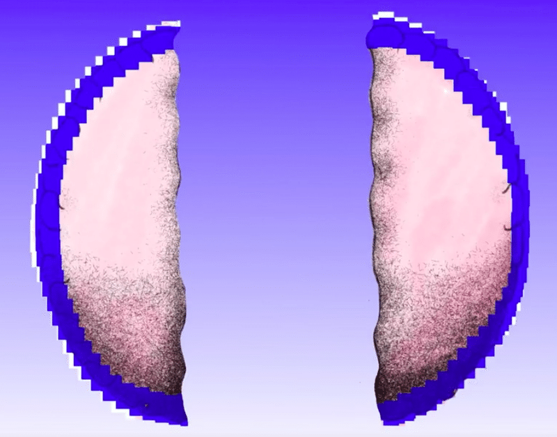 新事実 左脳と右脳で役割が違うのは俗説っぽい 高安智也 Note