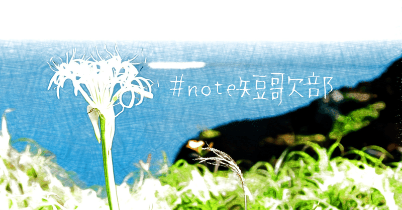 7月17日 誕生花は浜木綿 Note短歌部 御子柴 流歌 Note