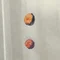 レビ