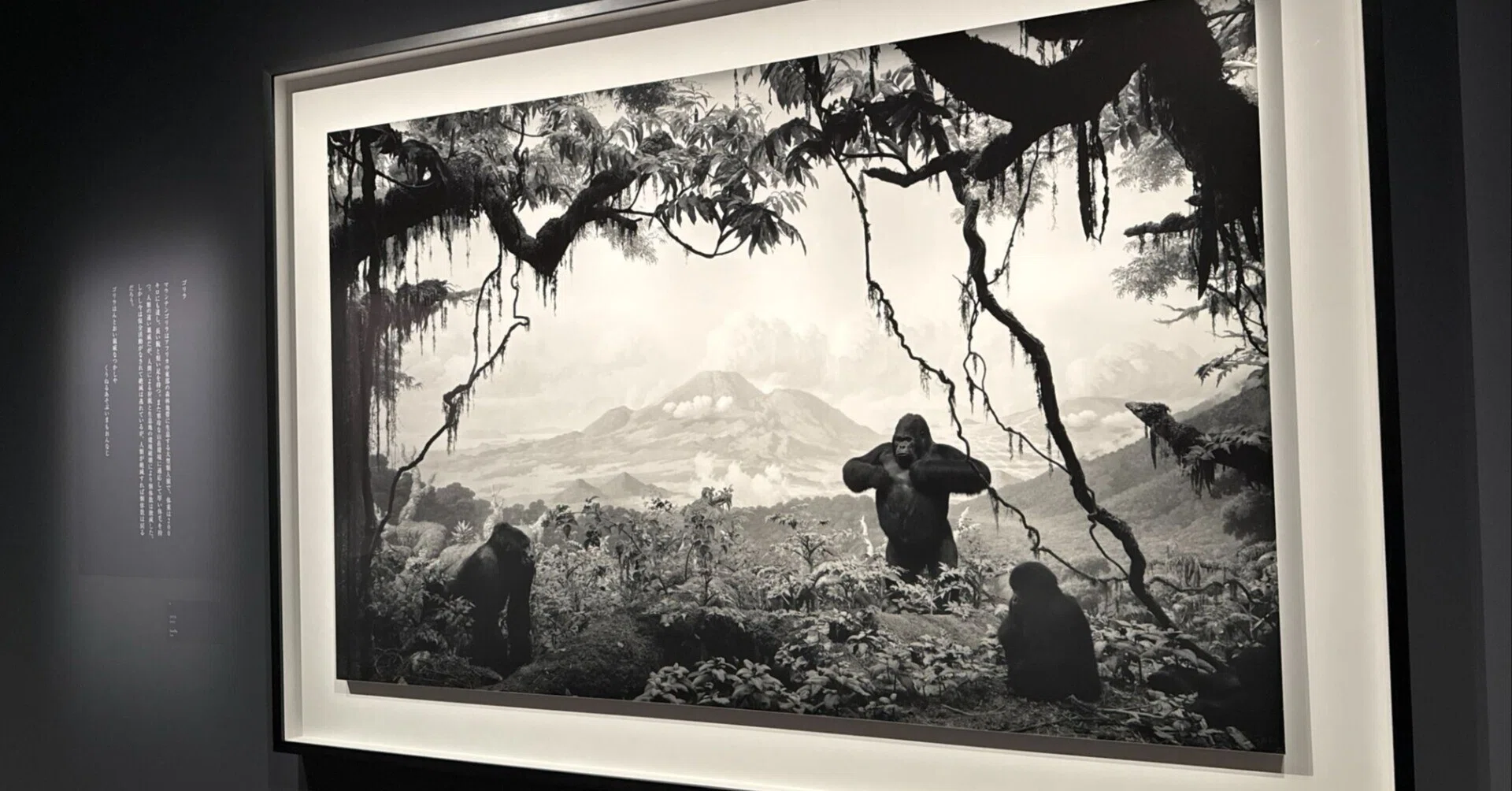展評】杉本博司「絶滅写真」（2026.6.16-9.13｜東京国立近代美術館