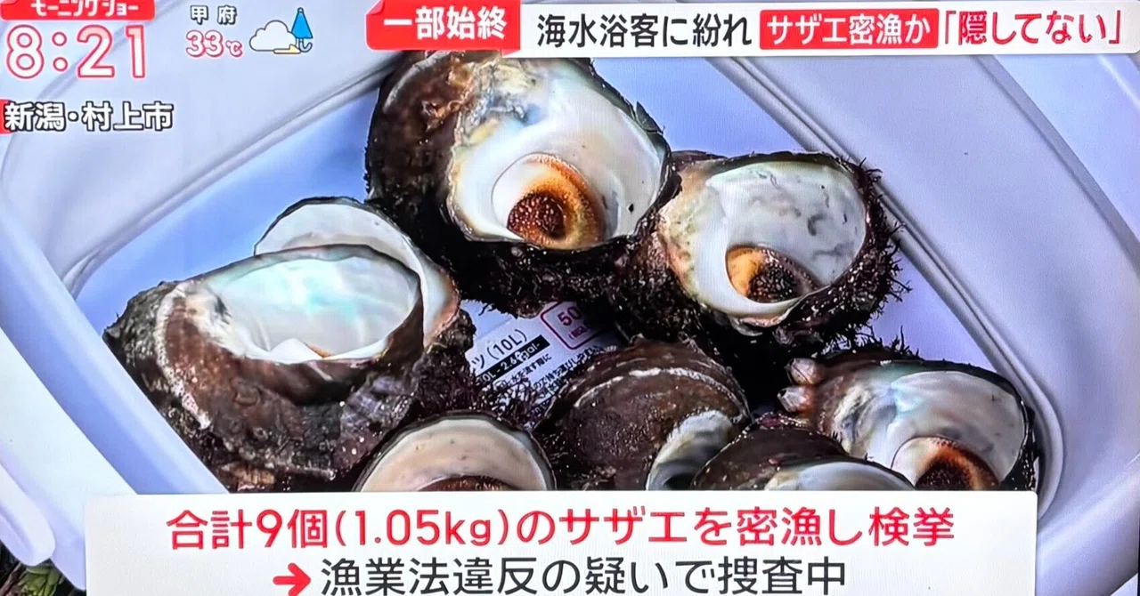 漁業権ってなんだ???――サザエを拾って食べるだけで「密漁」になる理由|鮭川ゆるり