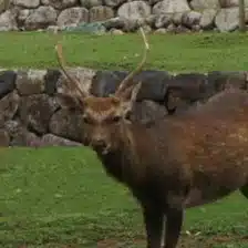 弥真都満穂