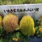 佐々木