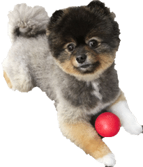 絶対に30秒で唇を薄くする方法 小顔整体師かつどん Note