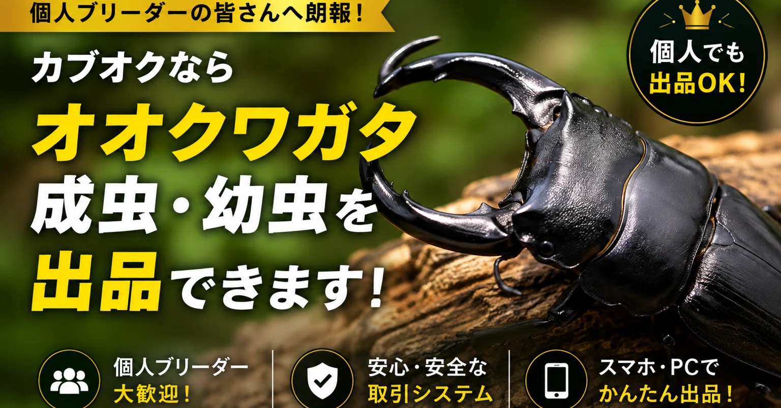 個人ブリーダーも出品OK！カブ王!オークションならオオクワガタの成虫