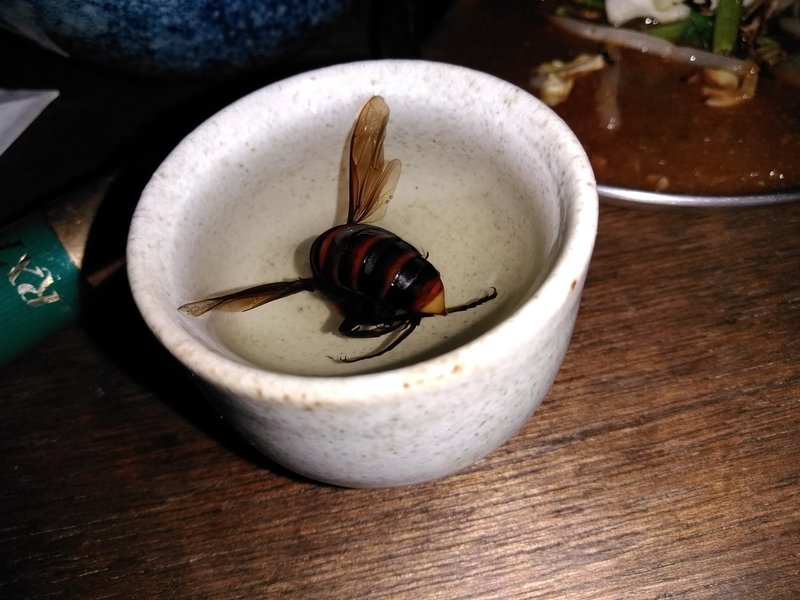 スズメバチ酒 おかちめんこ太郎 Note スズメバチ酒 おかちめんこ太郎 Note