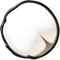 棘無
