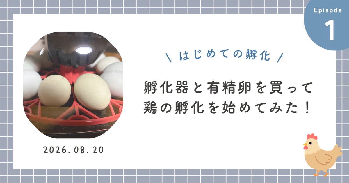 [Must-see before buying] Don't fail! How to choose fertile eggs and the ...