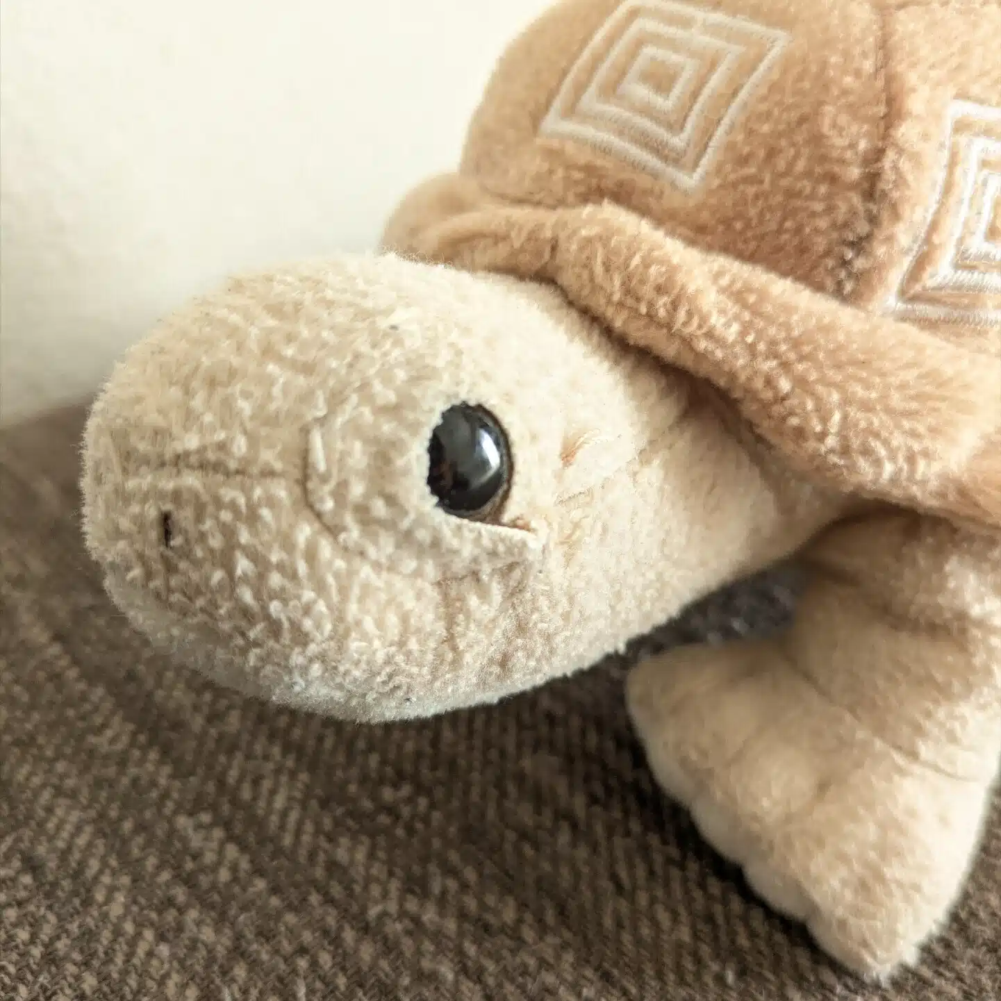 ケアンズさん | サッシ屋勤めママ