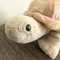 ケアンズさん | サッシ屋勤めママ