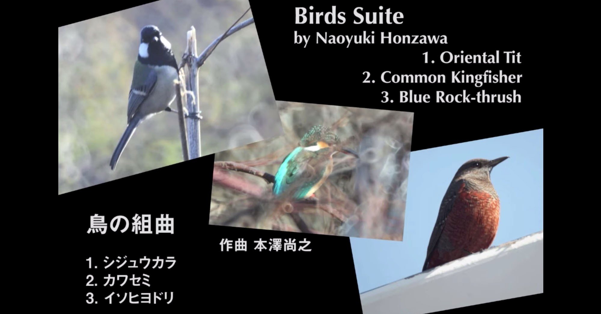 鳥の詩 Sheet Music for Piano (Solo) | MuseScore.com