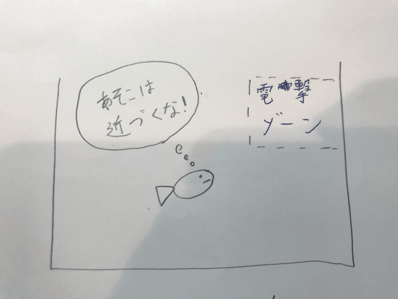 魚は痛みを感じるのか 釣り 山阿呆の大学生 Note