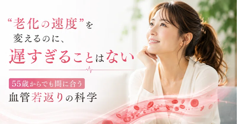 老化の速度を変えるのに、遅すぎることはない——55歳からでも間に合う血管若返りの科学