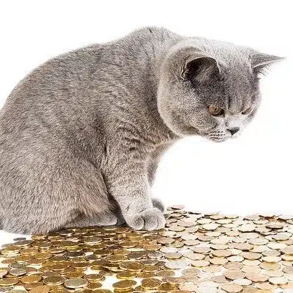 きょうたろう