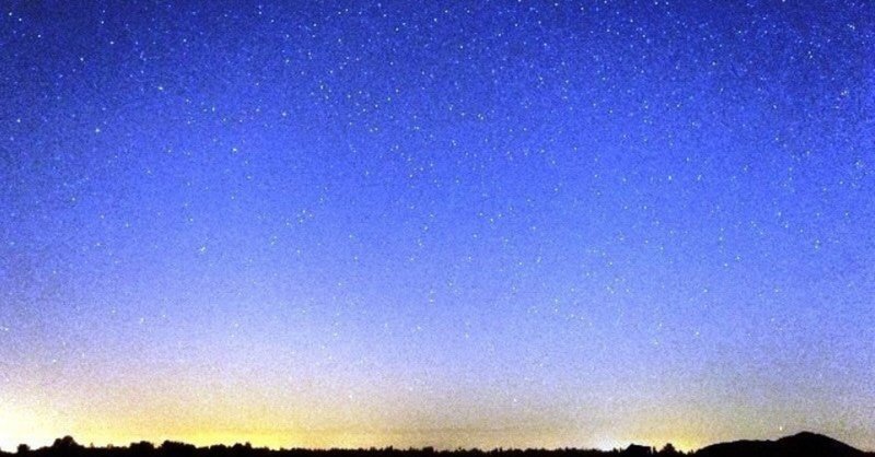 ピクニック 夜 感想 の 文 読書