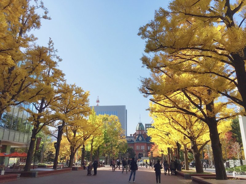 ここではないどこか に憧れながら 今ここで生きる オランドゆるエッセイ Vol 2 Next Commons Lab 弘前 Orando Note