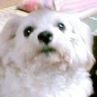 脳イキに至るまでの時間 犬野シロ Note
