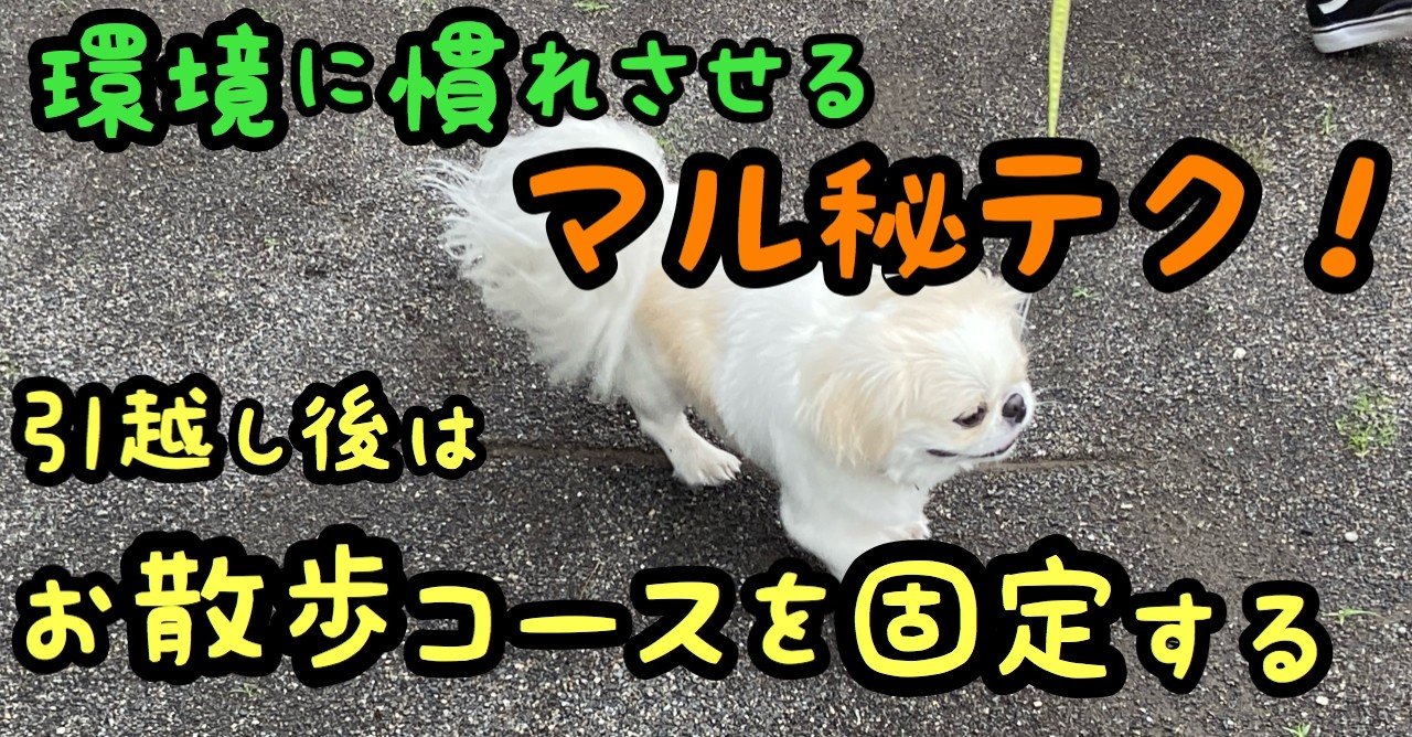 環境に慣れさせるマル秘テク 引っ越し後はお散歩コースを固定する ドッグライフサポーター 獅子パパ Note 環境に慣れさせるマル秘テク 引っ越し後はお散歩コースを固定する ドッグライフサポーター 獅子パパ Note