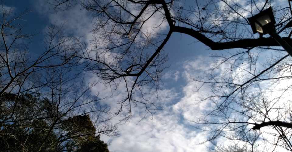息抜きがあるから仕事を頑張れる さっぴ Note