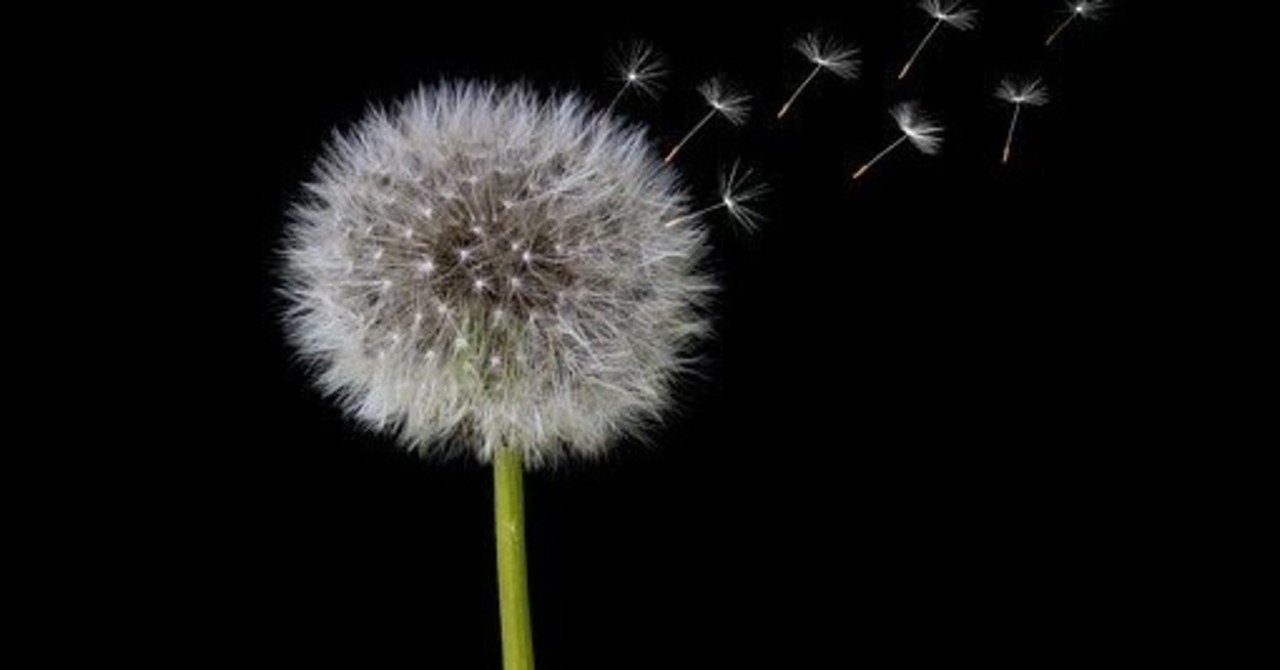 運気アップ 運気の面から見た 家の換気が大切な理由とは 武田 開運風水コンサルタント Note