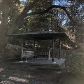 言の葉