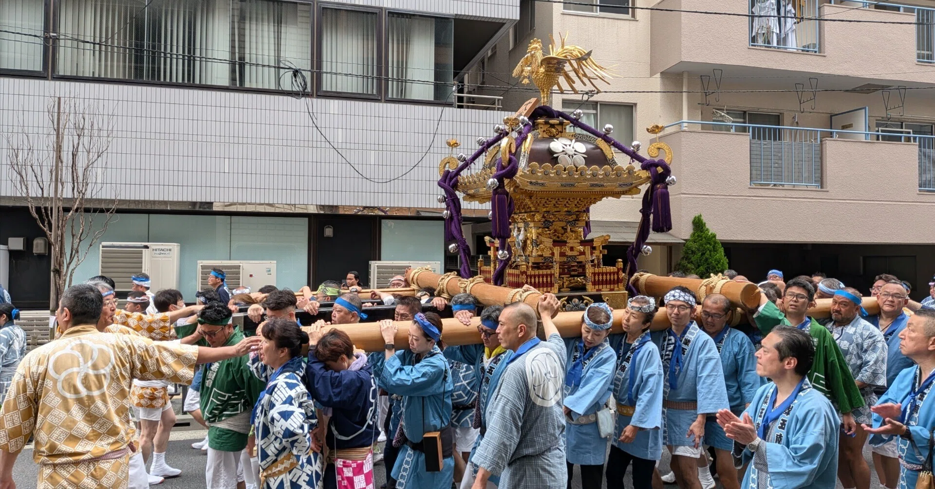 僕の好きな両国｜今週は町に神輿がやってきた｜亀戸天神社につながる夏