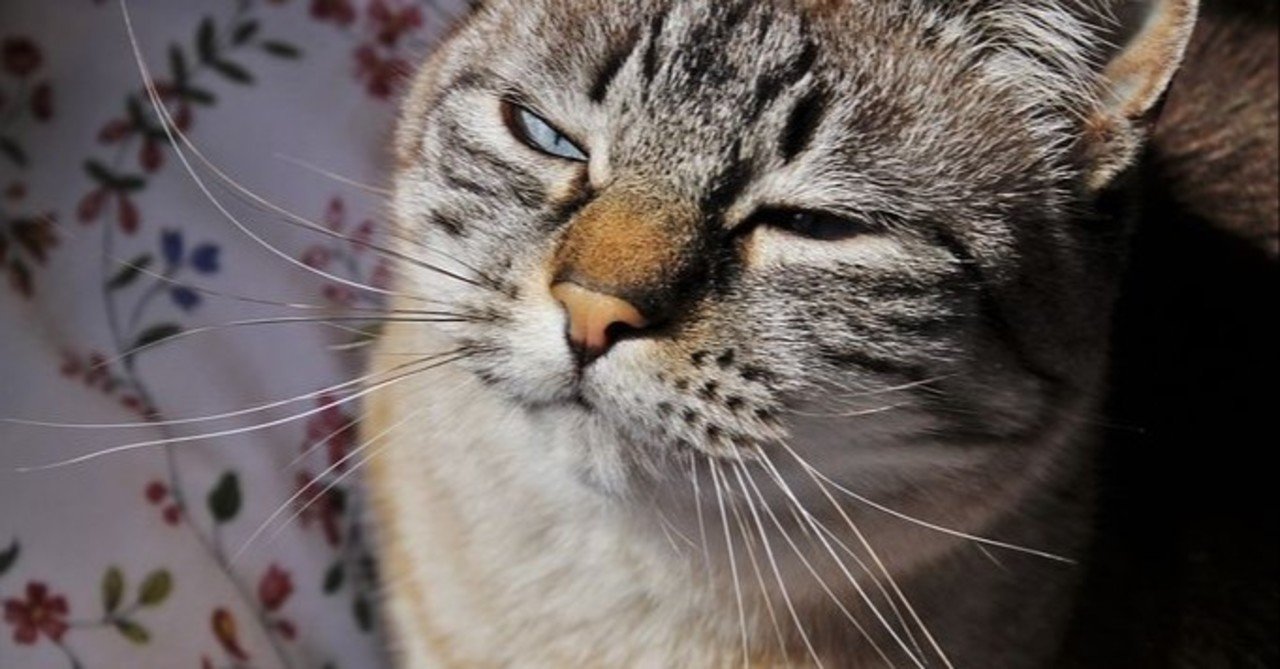 仕事 やる気が出ない代の理由と解決方法３パターン 転職 ともちん Note