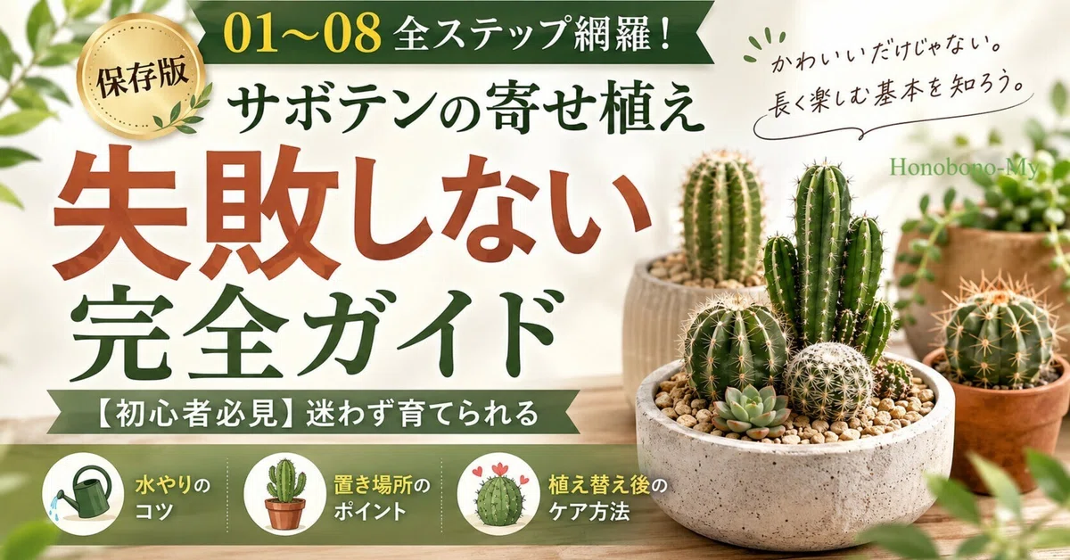 サボテンの寄せ植え｜初心者でも失敗しにくい作り方と植えた後の育て方