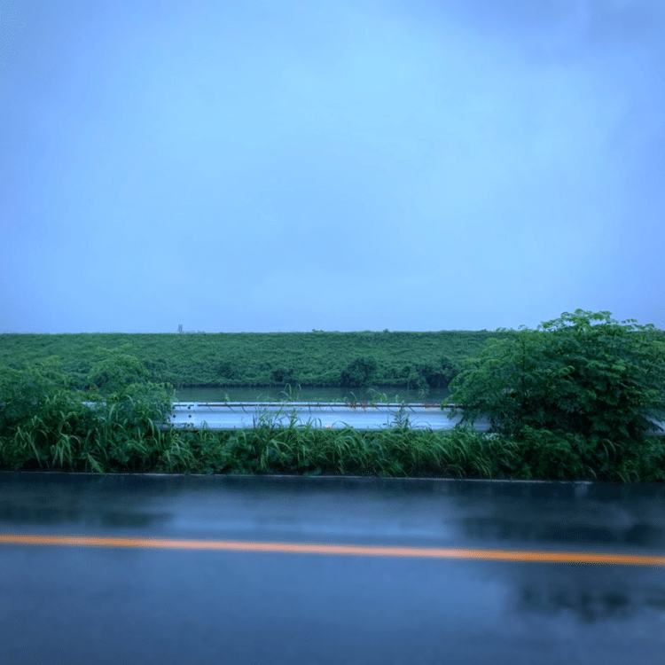 雨の川