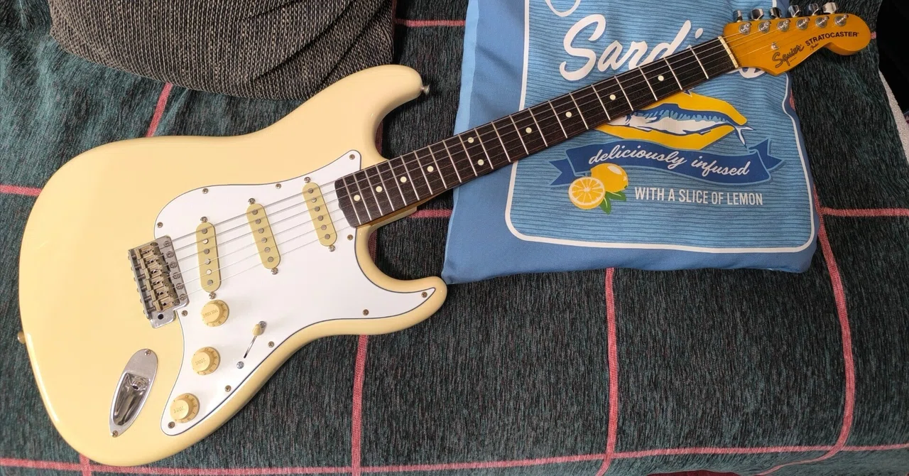 Squier japan sst-30 85-87年 Eシリアル Squier SST-30(1987)｜ボーンアンドスキンA