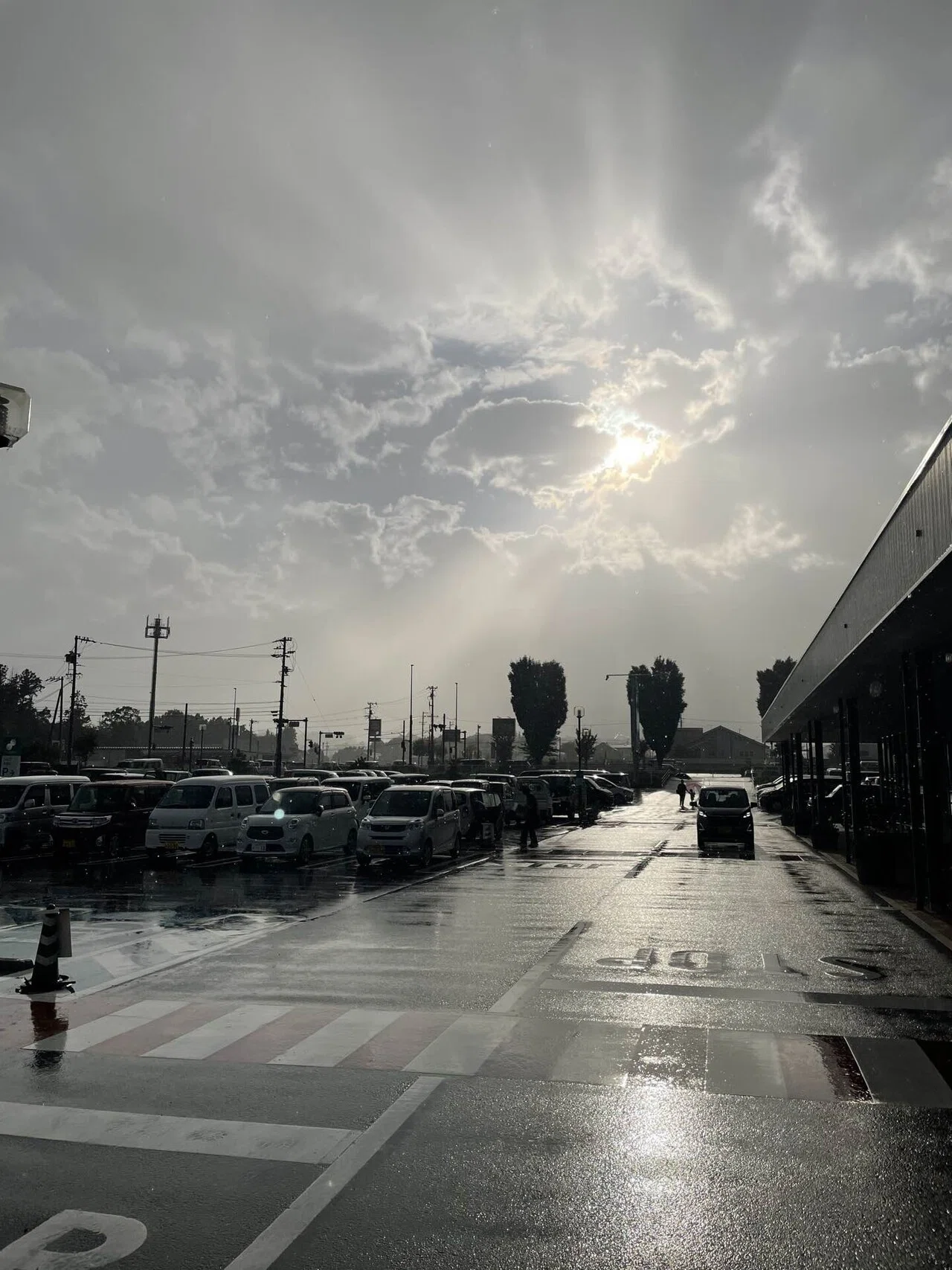 おてんき雨と、虹の記録。｜高原の森の暮らし