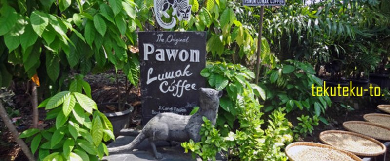 世界で一番珍しいとされるコーヒーをインドネシアで買って来た。