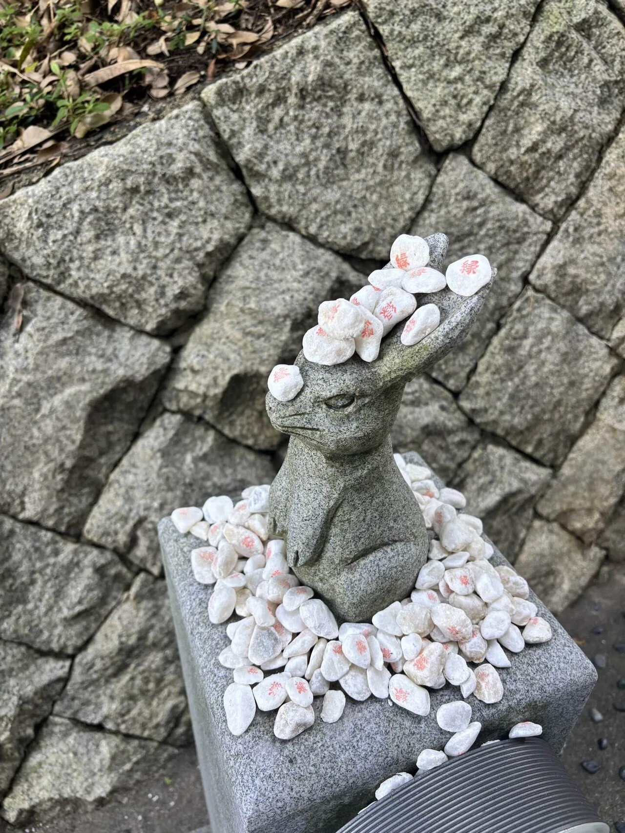ラクダとうさぎに会いに。備忘録part2｜flicker