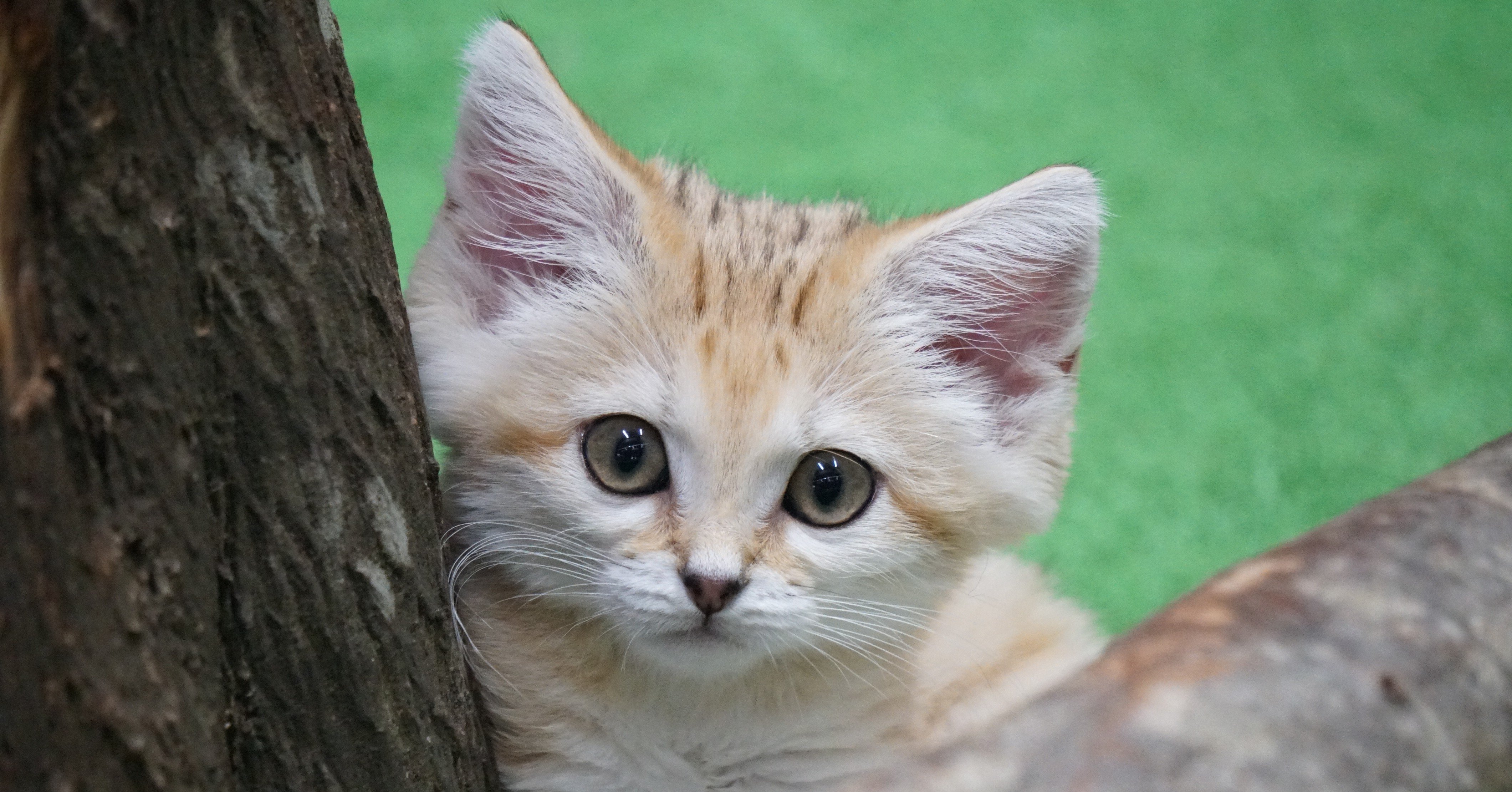 6e0e03200fe42706968b01912af34a