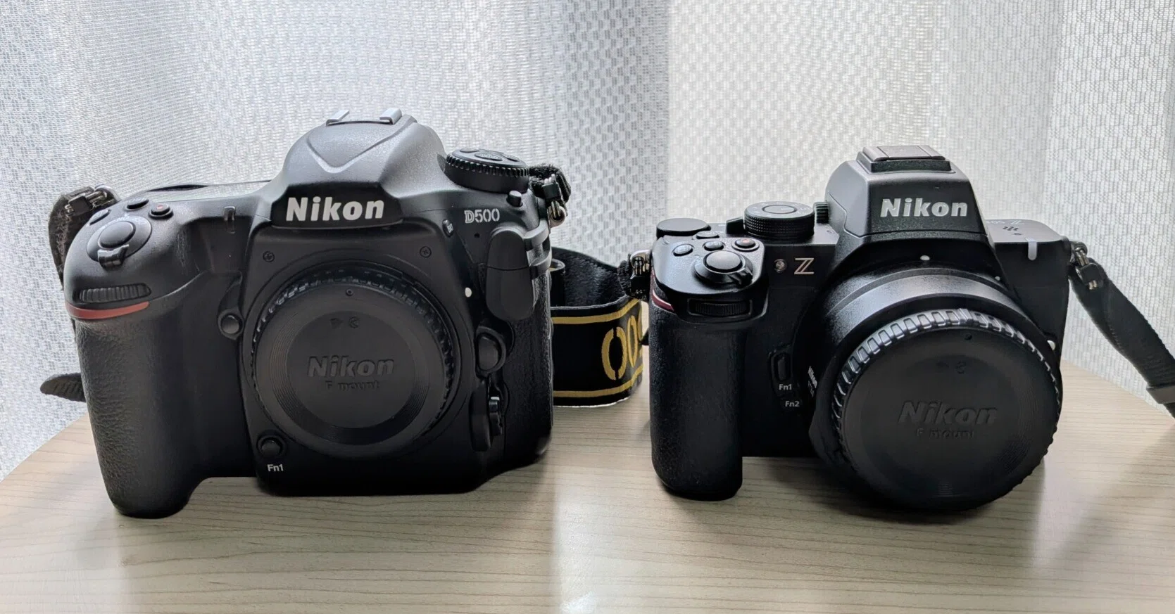 機材レビュー #03］D500 vs Z50ii. Nikon APS-C機の野鳥撮影比較