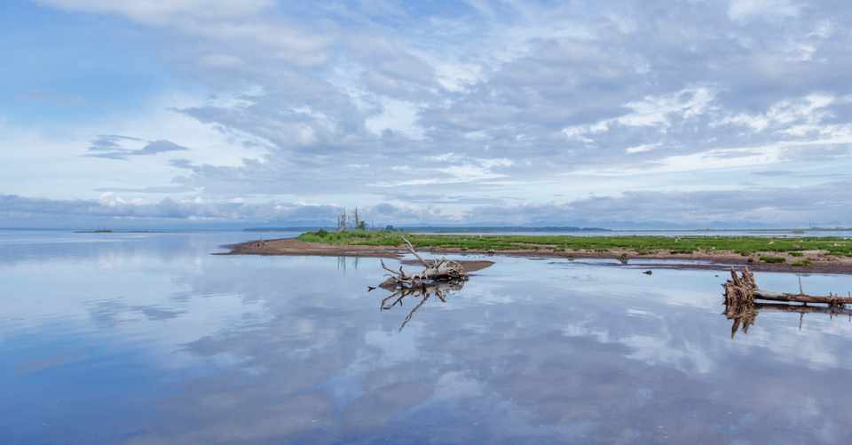 うつ病の人に職場でかける言葉 再発防止策は 株式会社lokosol ロコソル Note