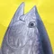 たま♀