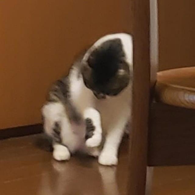 画像2