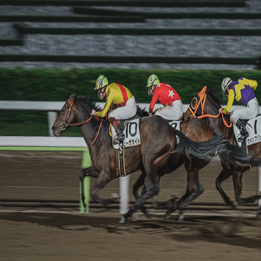 デジタルカメラで撮影しました過去の競馬の写真 お馬さんの撮影は、想像以上に面白い｜Yuki Ikeda