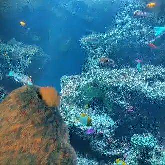 うさめろ(⁠*⁠˘⁠︶⁠˘⁠*⁠)⁠.⁠｡⁠*⁠♡
