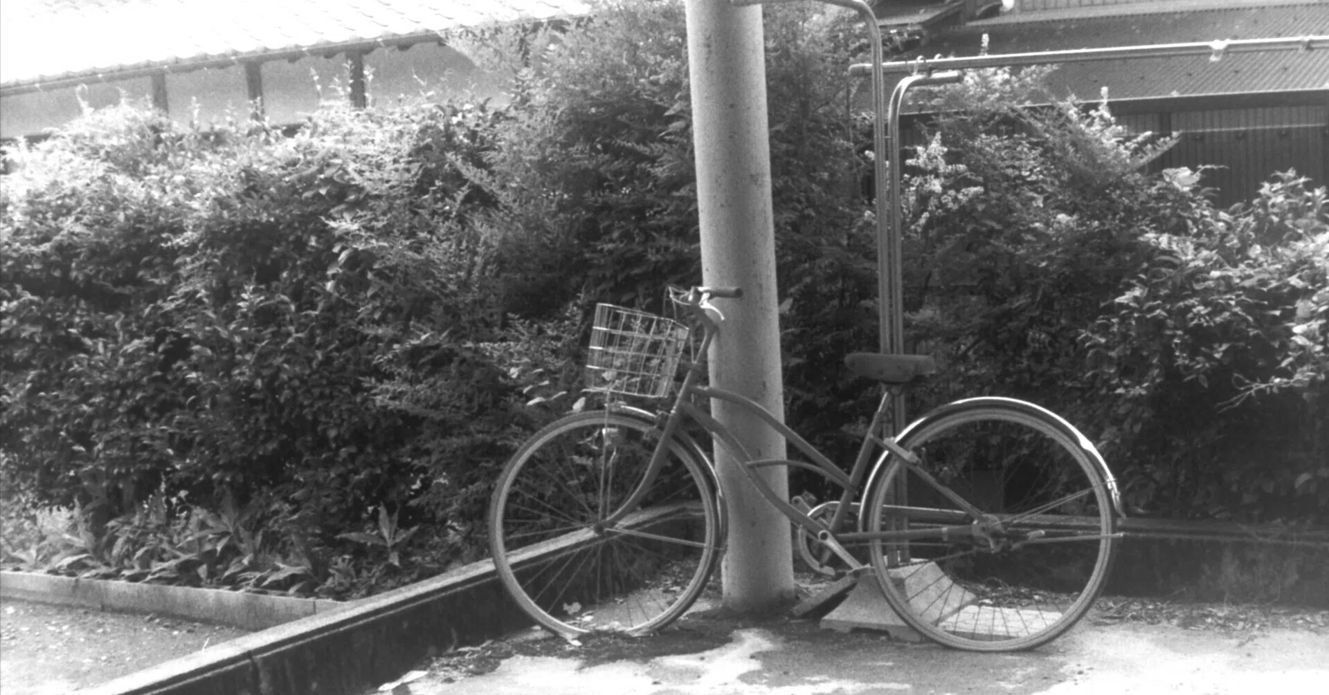 実働 作例あり agfa karat 50mm f2.0付 実働 作例あり agfa karat 50mm
