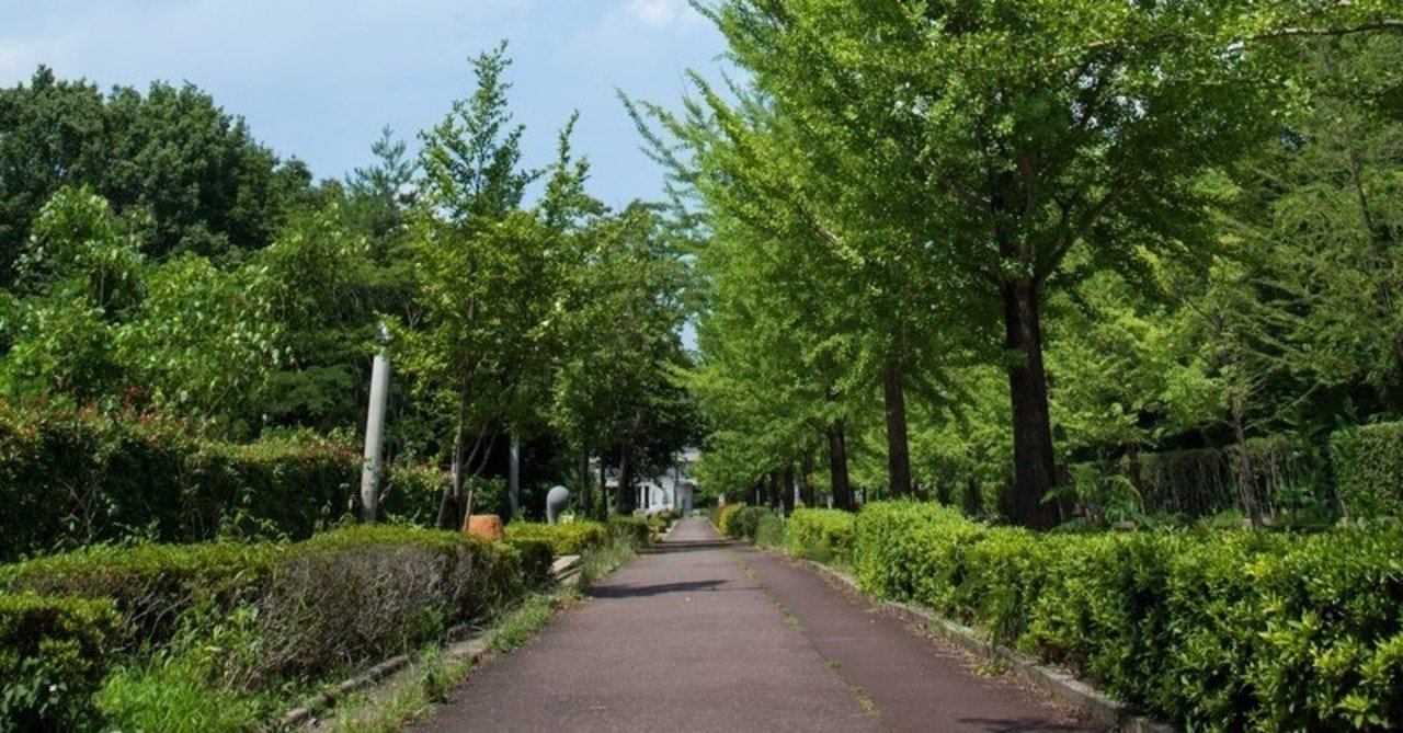 金色のガッシュ のガッシュが語る 真っ直ぐな名言3選 橋岡克仁 Note