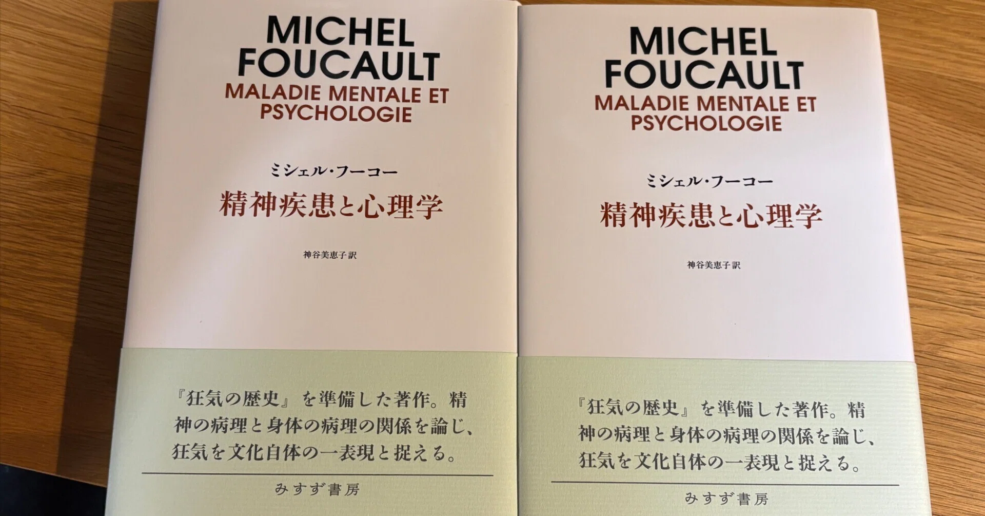 精神疾患」はどこにあるのか――ミシェル・フーコー『精神疾患と心理学