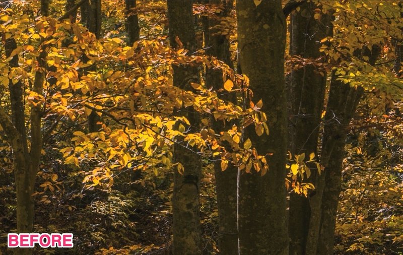 スクリーンショット_2020-07-18_11_23_38