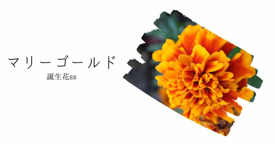 マリーゴールド 誕生花ss てい Note