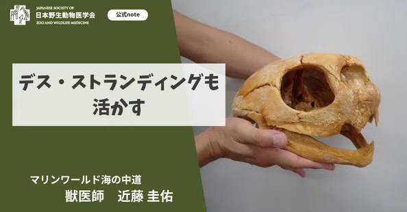 日本野生動物医学会誌 まとめ売り 学術雑誌 野生動物医学への挑戦
