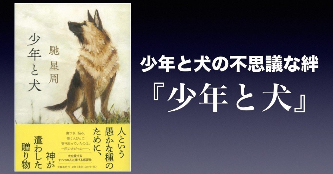書評 少年と犬の不思議な絆 少年と犬 馳星周 かわぺい 高校国語教師 Note 書評 少年と犬の不思議な絆 少年と犬 馳星周 かわぺい 高校国語教師 Note