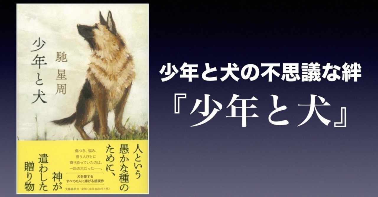 書評 少年と犬の不思議な絆 少年と犬 馳星周 かわぺい 高校国語教師 Note